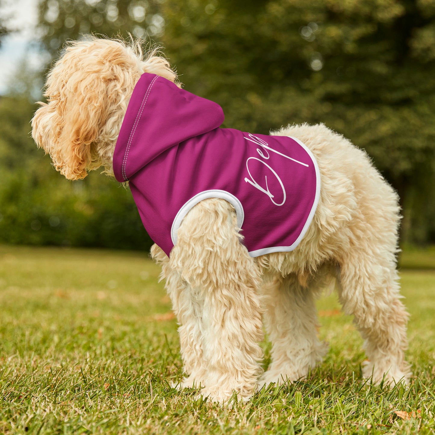 Dependa Pet Hoodie