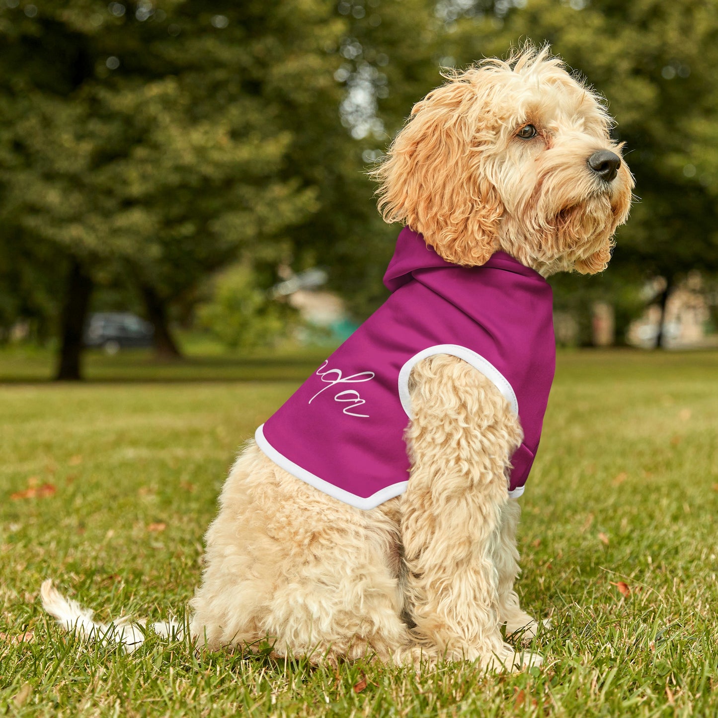 Dependa Pet Hoodie